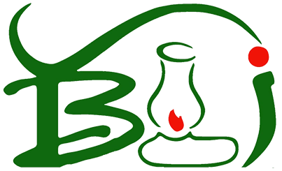 YBLI LOGO